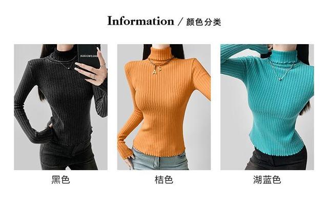 Long-Sleeve Turtleneck Plain Ribbed Knit Top Product Image