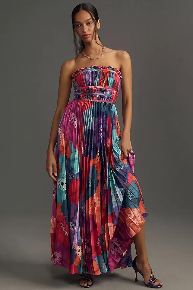 Hutch Sabine Strapless Pleated Maxi Dress Product Image