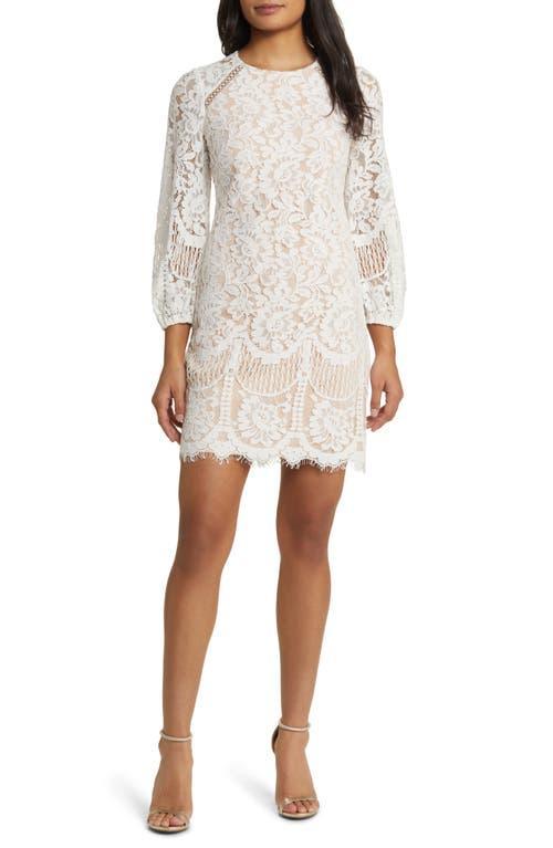 Vince Camuto Raglan Long Sleeve Lace Dress Product Image