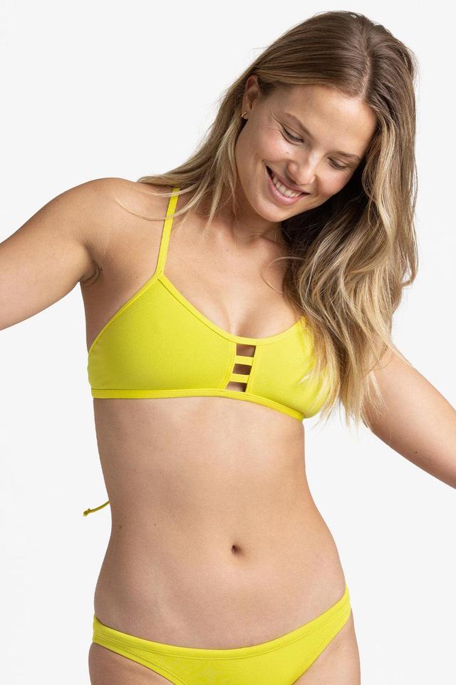 Tomcat Bikini Top - Dandelion Female Product Image