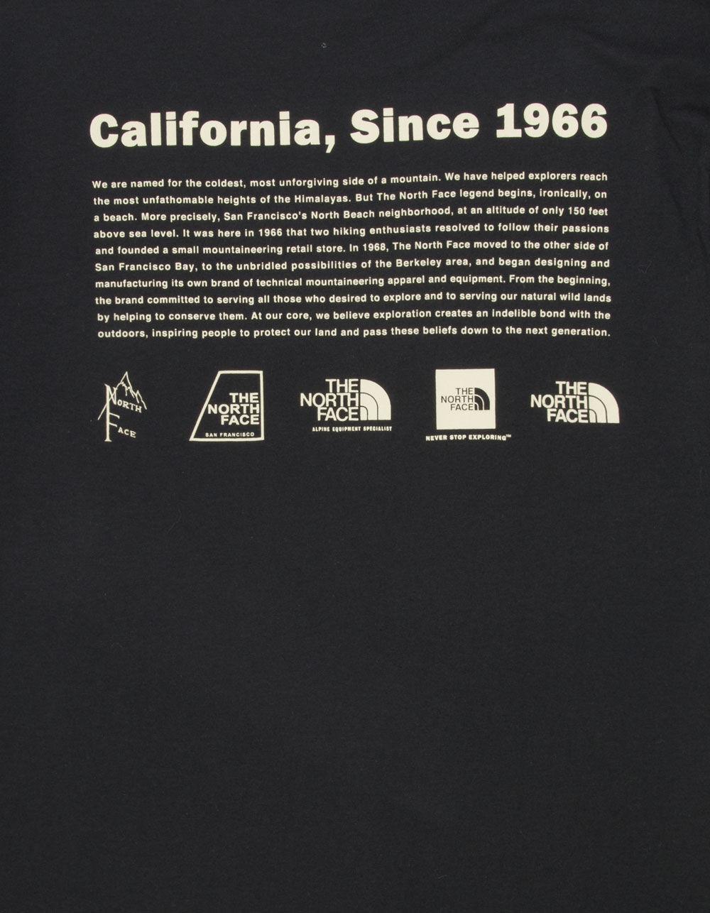 THE NORTH FACE Coordinates Mens Tee Product Image