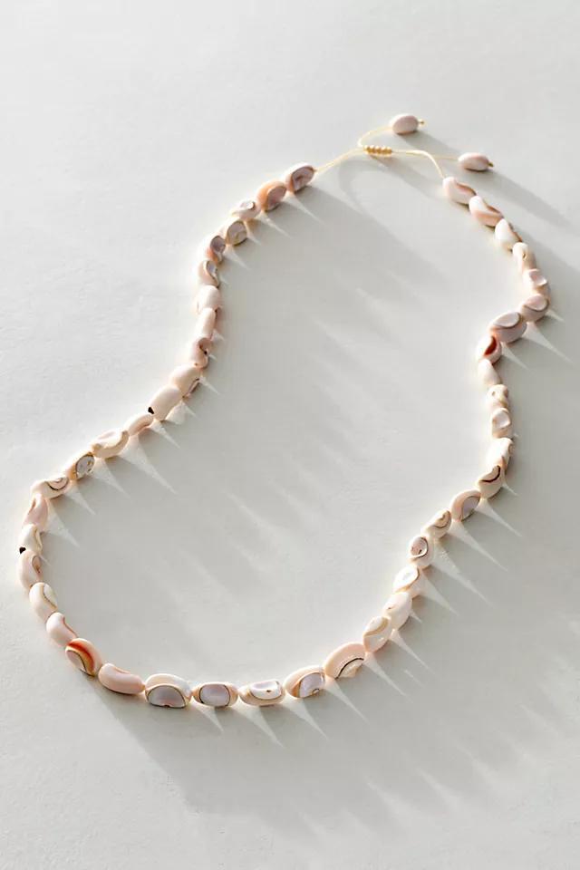 Roseline Shell Strand Necklace Product Image