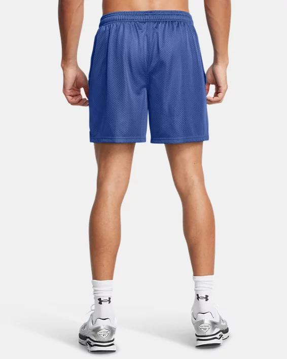 Men's UA Icon Mesh Shorts Product Image