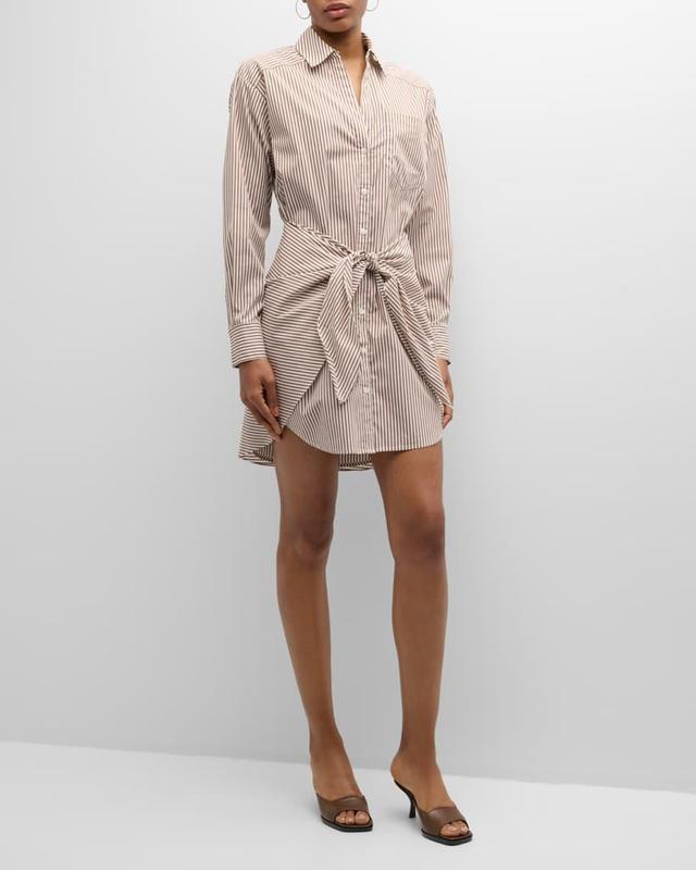 Roanoke Stripe Shirtdress Product Image