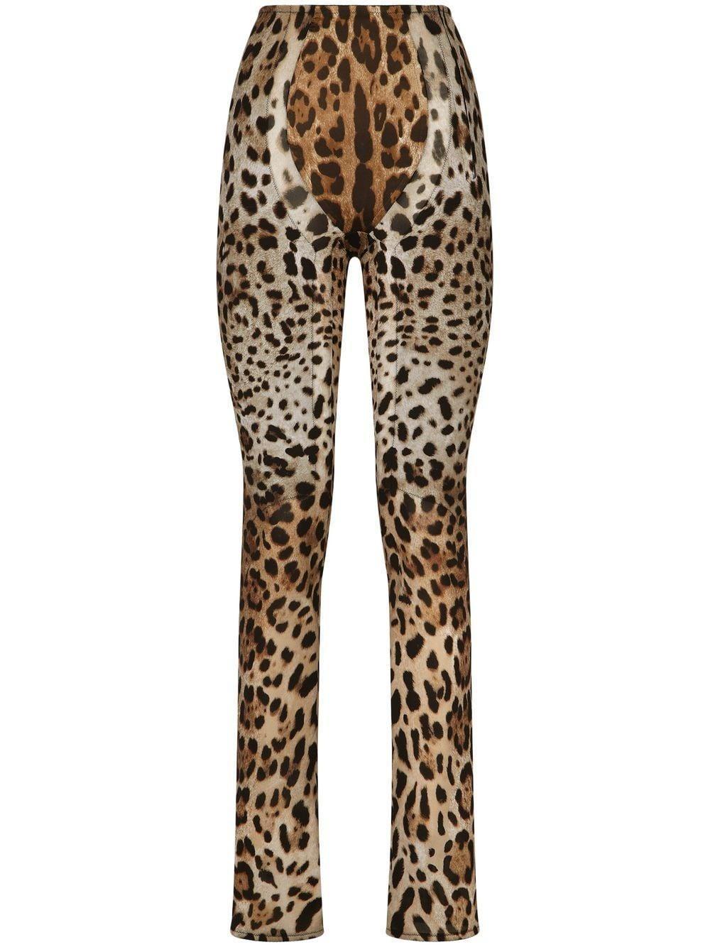 Hose Mit Leoparden-print In Multicolor Product Image