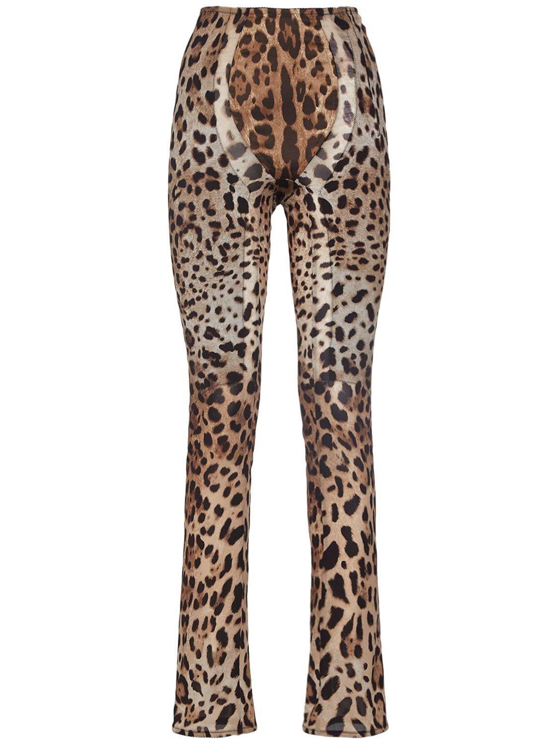 DOLCE & GABBANA Leopard Print Stretch Straight Pants In Brown Product Image