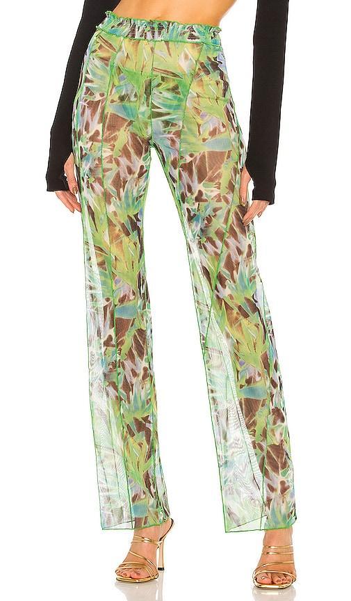 Printed Pants Product Image