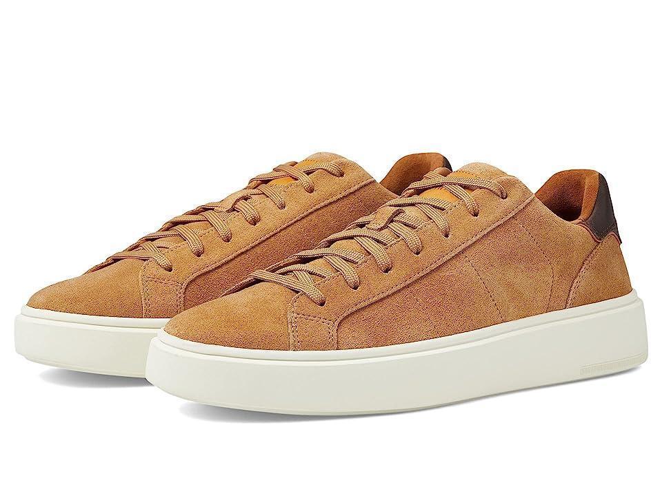 Allen Edmonds Oliver Sneaker Product Image