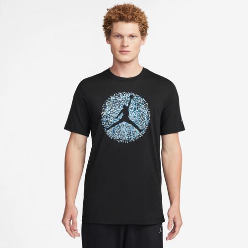 Jordan Pointillism Jumpman Graphic T-Shirt Product Image