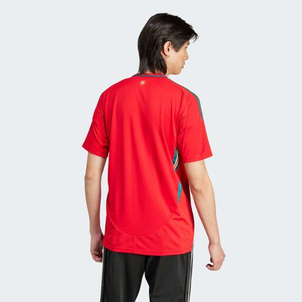 Wales 24 Home Jersey Product Image