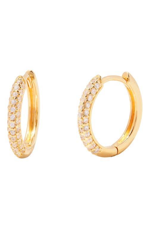 Brook and York Cecile Pav Cubic Zirconia Hoop Earrings Product Image