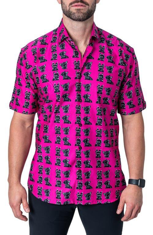 Maceoo Galileo Pinkdog Pink Short Sleeve Button-Up Shirt Product Image