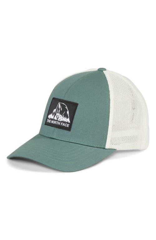 The North Face Truckee Fitted Trucker Hat Product Image