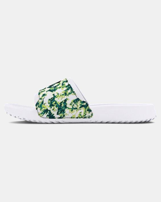 Men's UA Ignite Select Graphic Slides Product Image