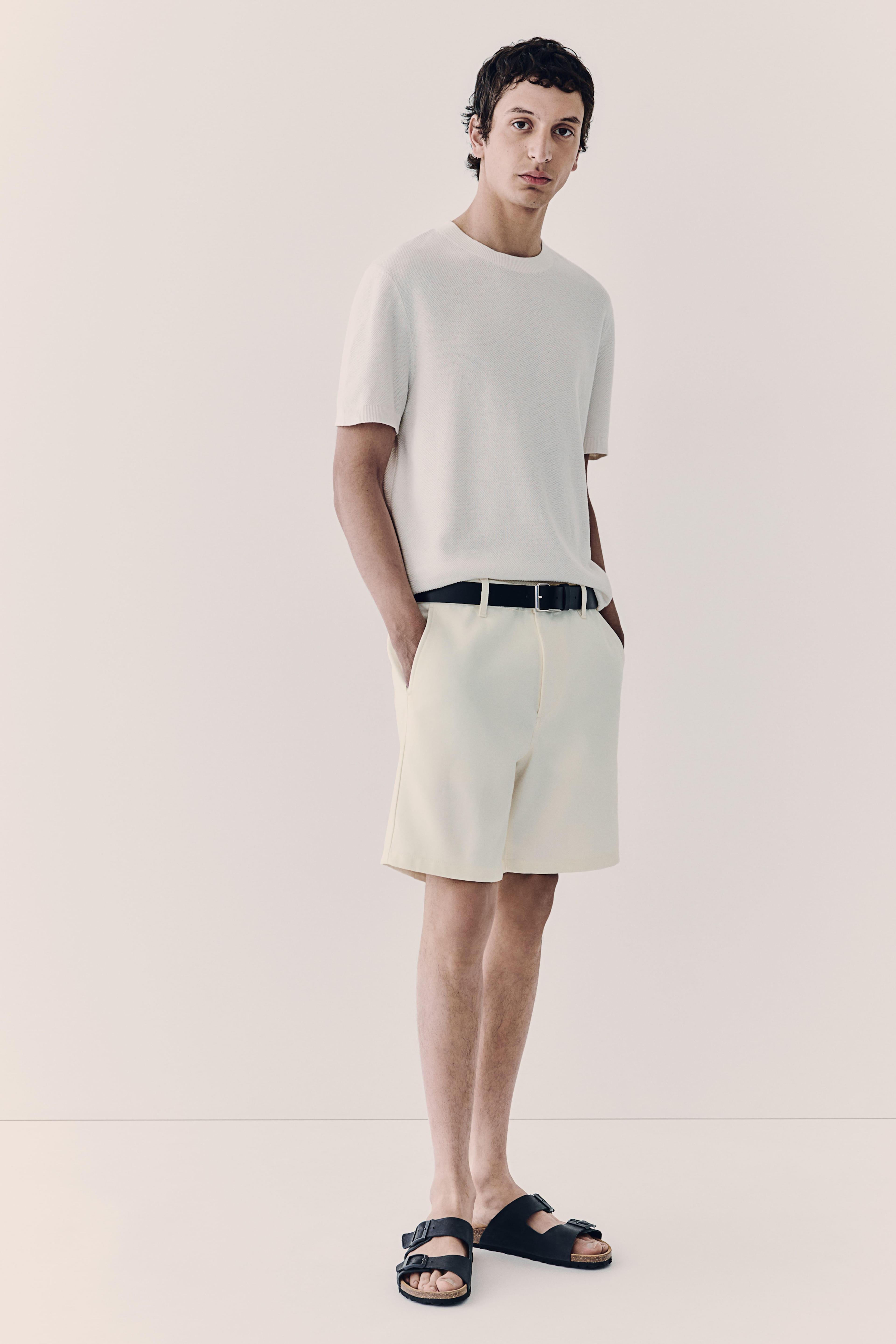 Regular Fit Chino Shorts Product Image