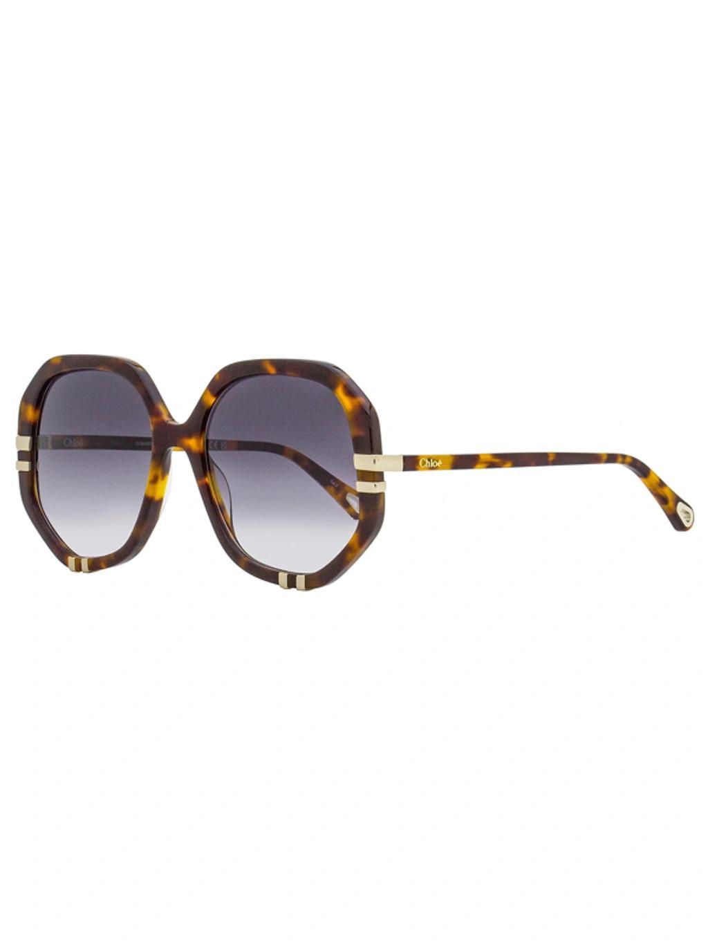 Women's Geometric Sunglasses Ch0105s 004 Havana/gold 58mm In Brown Product Image