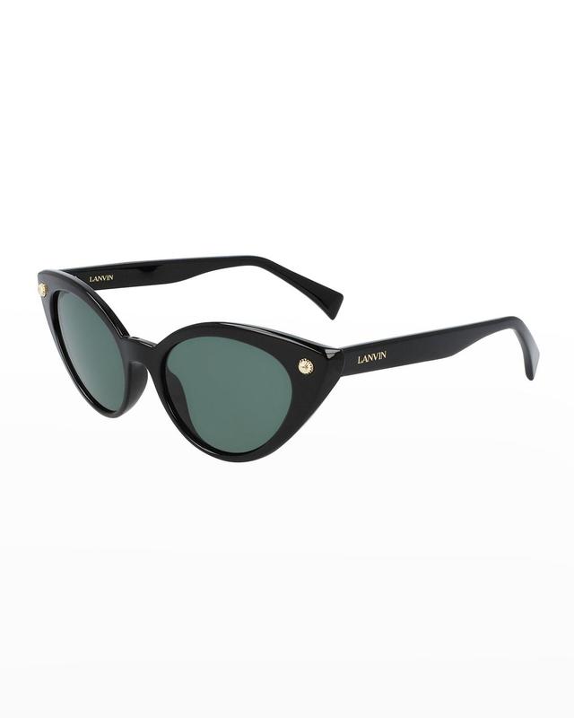 Dramatic Plastic Cat-Eye Sunglasses Product Image