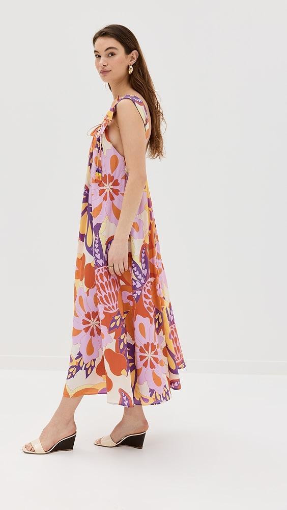 FARM Rio Lee Floral Sleeveless Maxi Dress | Shopbop Product Image