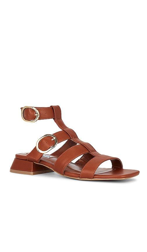 Steve Madden Aylin Sandal in Cognac. Size 7.5, 8.5. Product Image