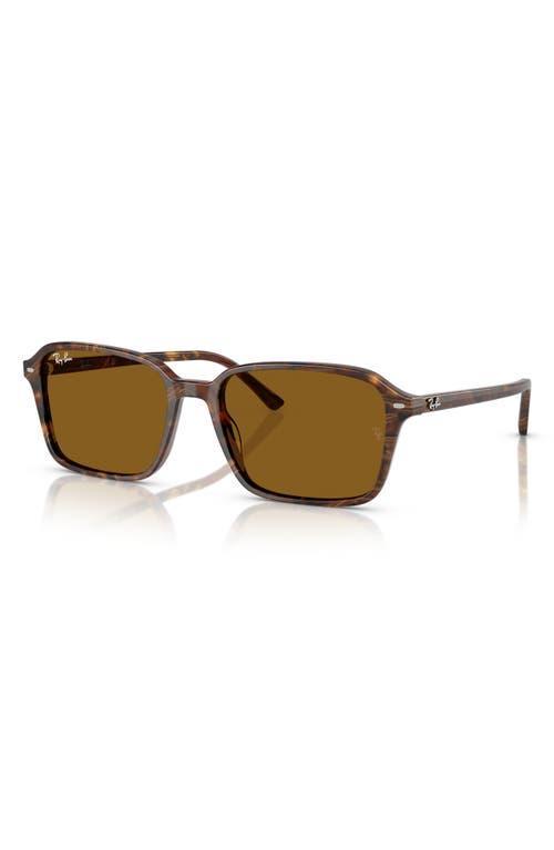 RAY BAN Ray-ban 58mm Square Sunglasses In Green Product Image