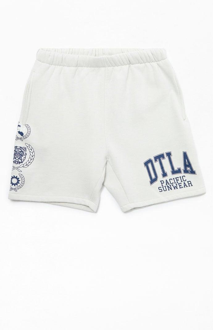 Men's DTLA Pacific Sunwear Fleece Sweat Shorts Product Image