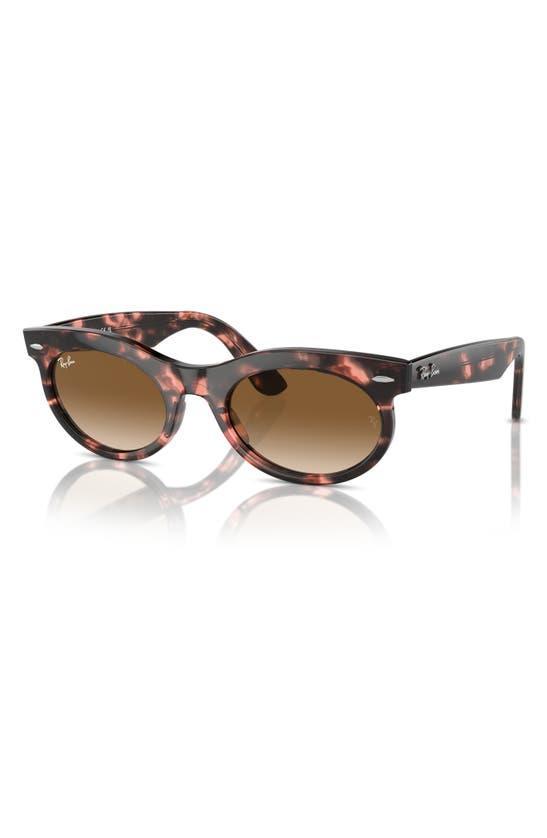 RAY BAN Wayfarer 53mm Oval Sunglasses In Havana Pink Product Image