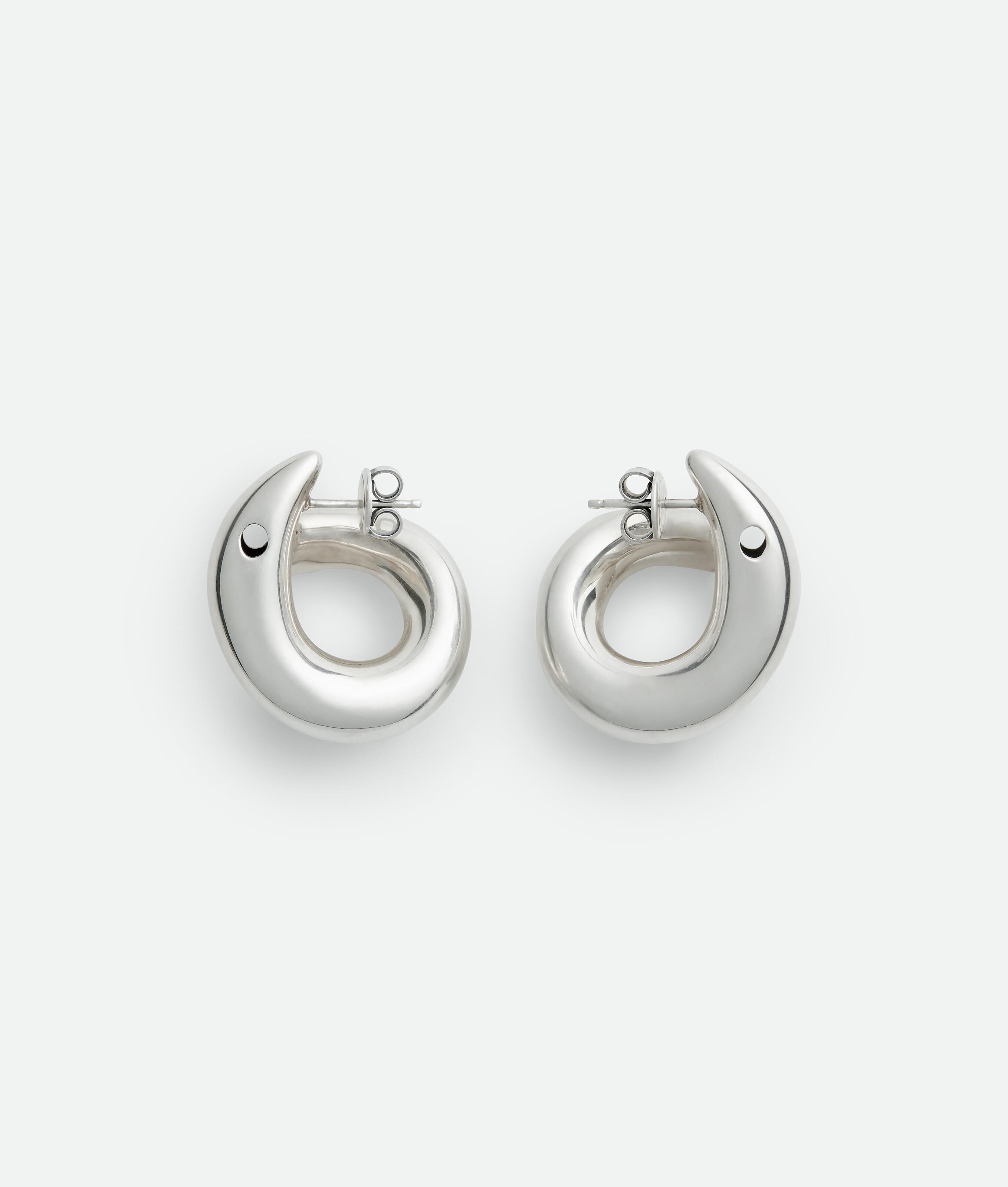 Women's Sardine Earrings in Silver Product Image