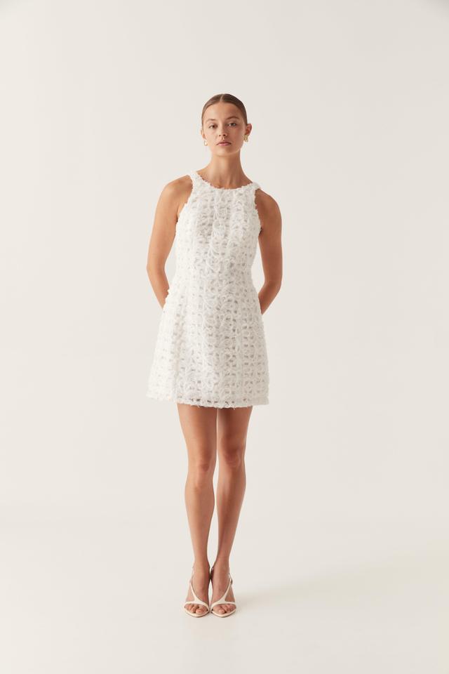 Quintette Textured Mini Dress Product Image