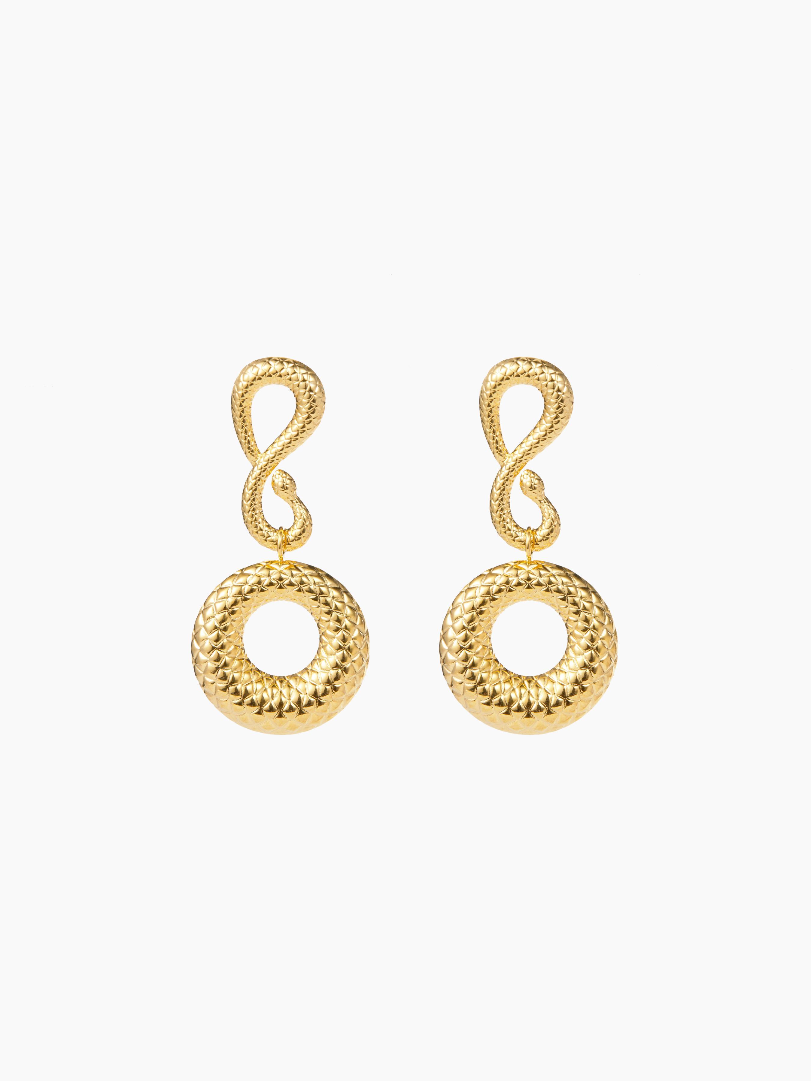 Snake Design Drop Earrings Product Image