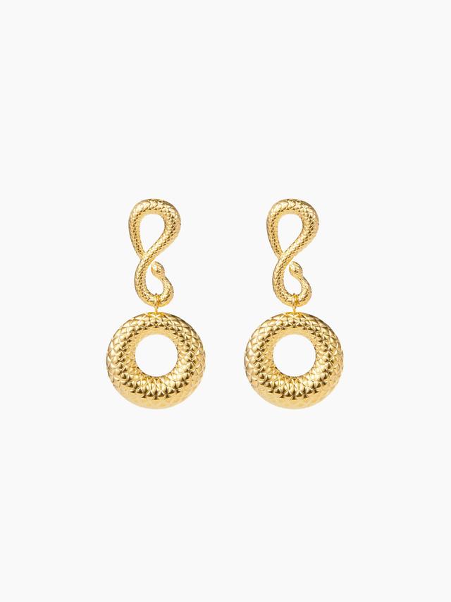 Snake Design Drop Earrings Product Image