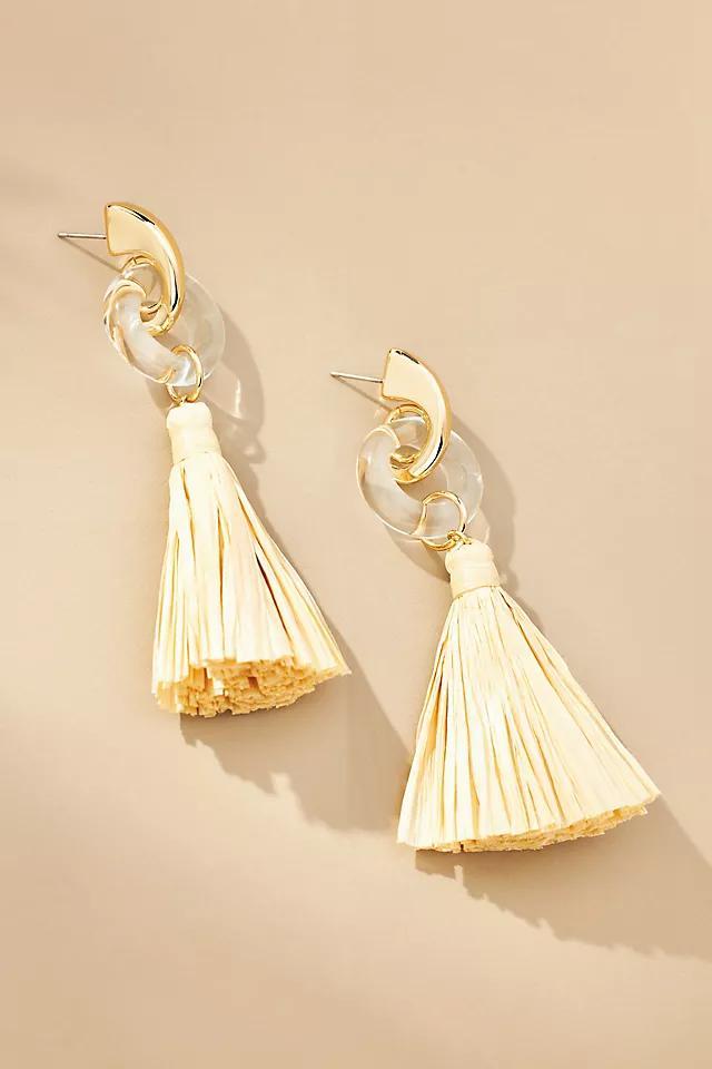 Enamel Ring Tassel Drop Earrings Product Image