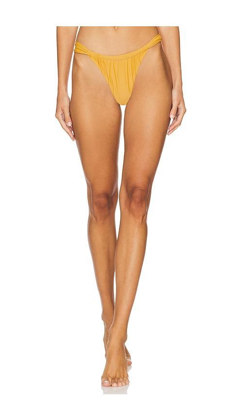 Andez Bikini Bottom Product Image