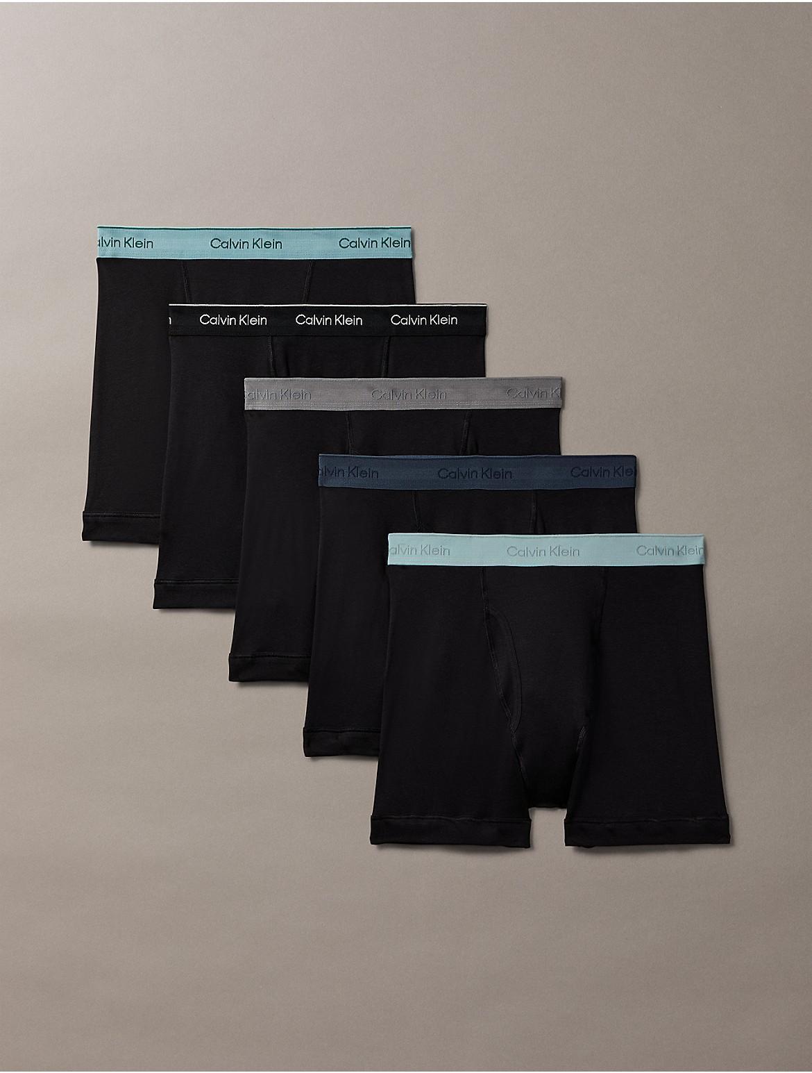 Calvin Klein Mens Cotton Classics 5-Pack Boxer Brief - Multi - L Product Image