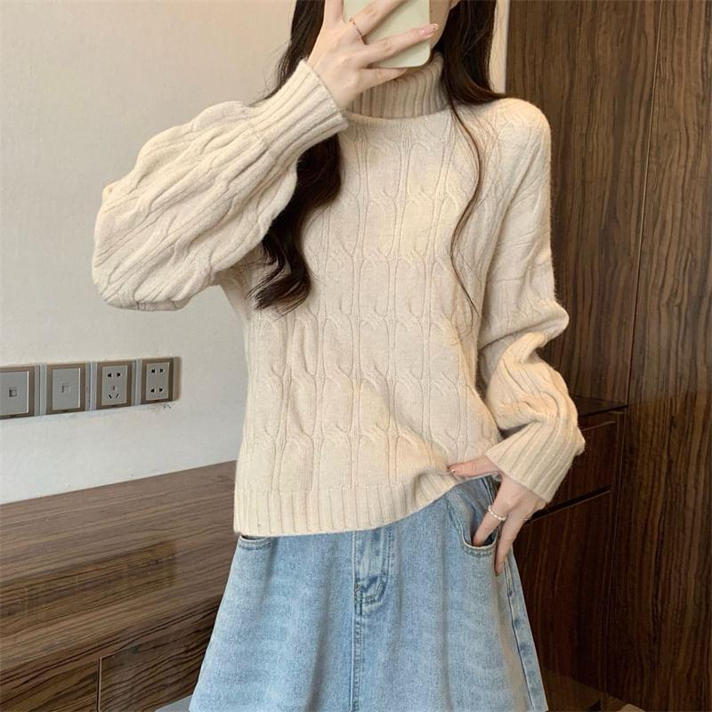 Turtleneck Plain Cable Knit Sweater Product Image