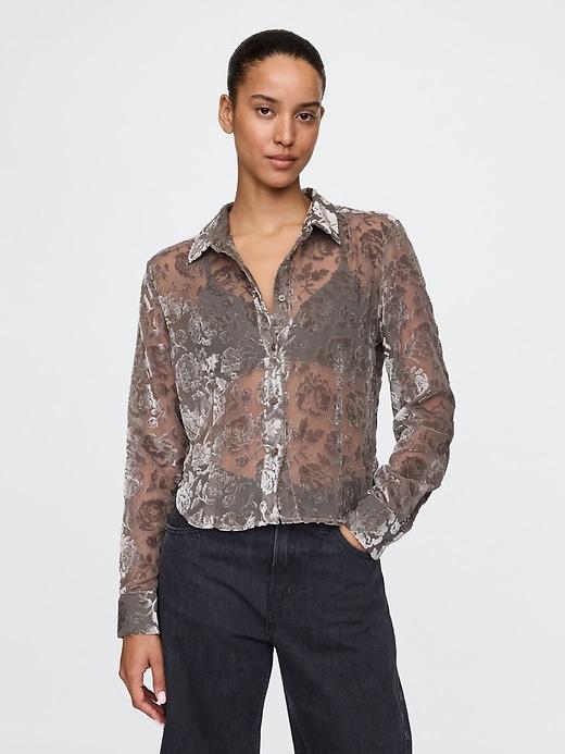 Cropped Velvet Shirt Product Image