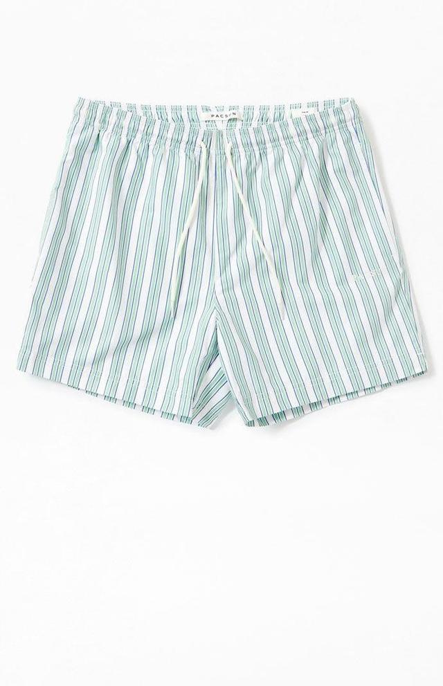 Mens Stripe 4.5 Swim Trunks Product Image