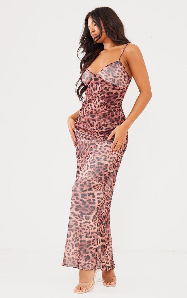 Brown Leopard Mesh Raw Hem Tiered Maxi Dress Product Image