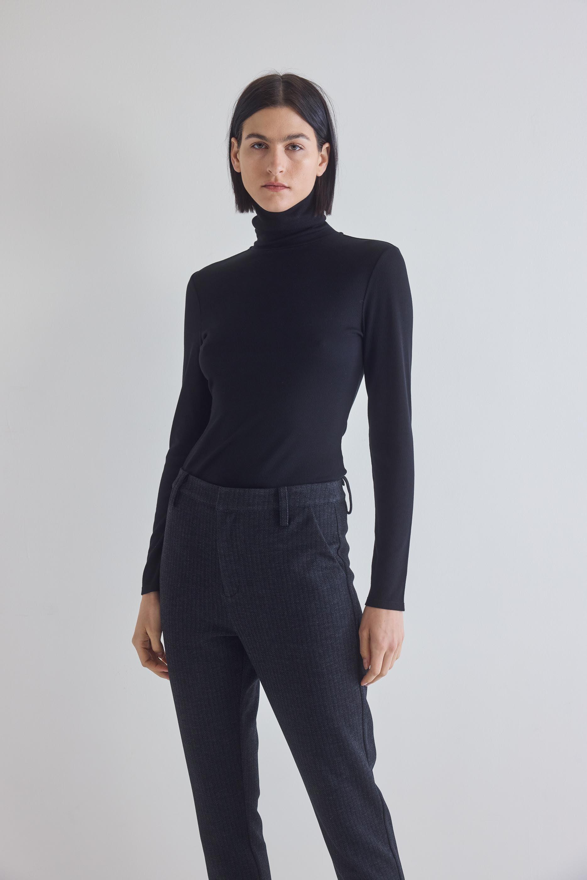 The Ribbed Turtleneck Product Image