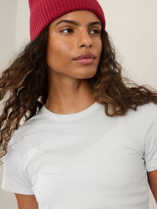 Signature Rib Crop Tee Product Image