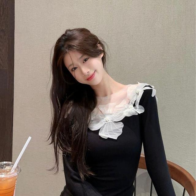 Long Sleeve Crew Neck Floral Applique Panel Mesh Top Product Image