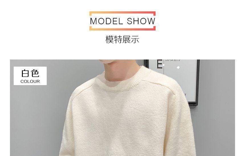 Crew Neck Plain Sweater Product Image