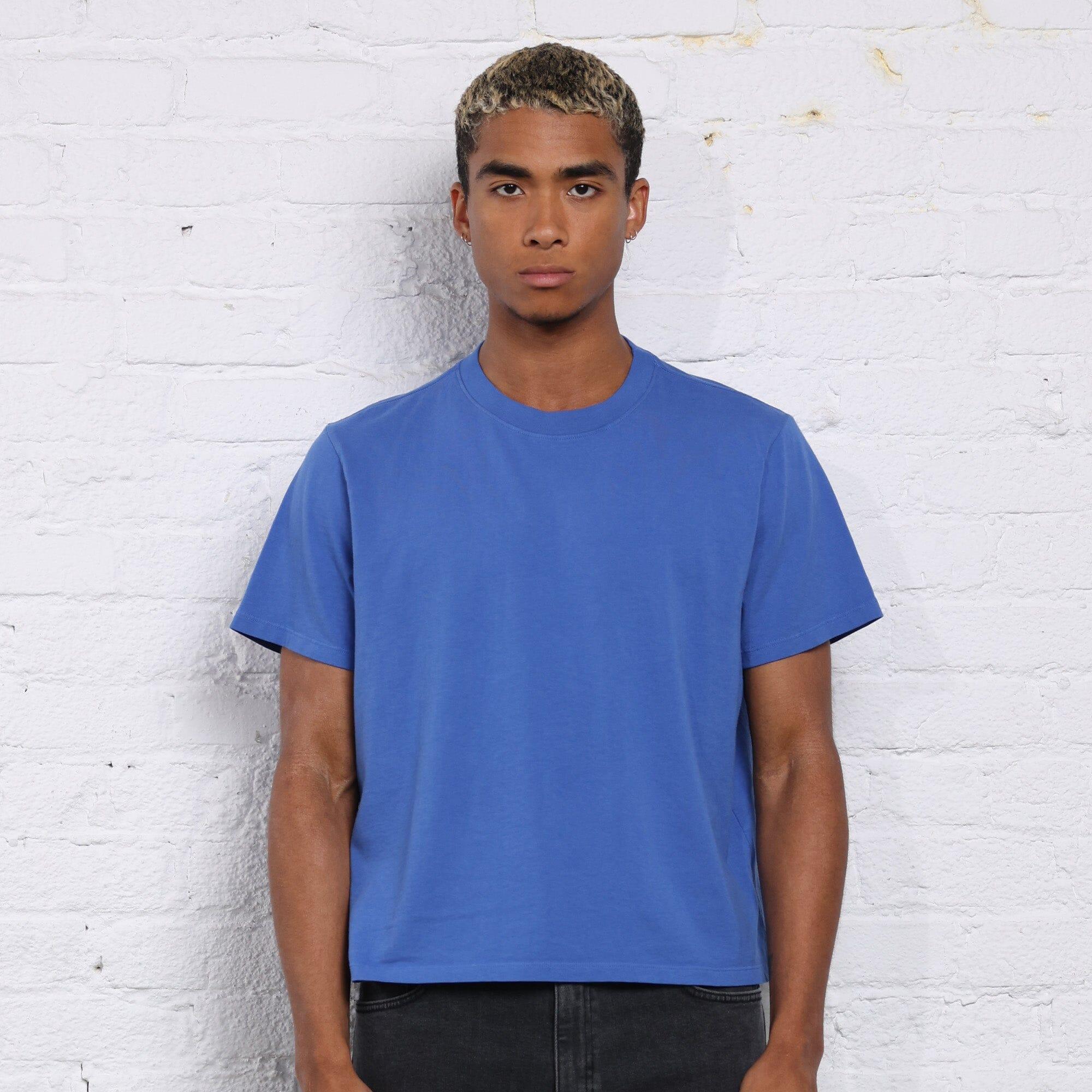 The Silverlake Crop Tee II Product Image