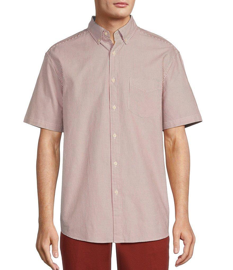 Roundtree & Yorke Short Sleeve Oxford Small Stripe Sport Shirt Product Image