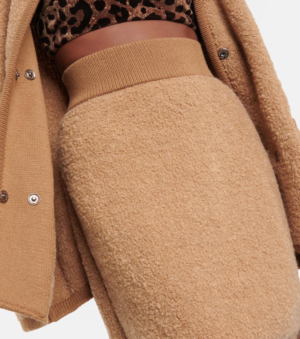 DOLCE & GABBANA High-rise Alpaca And Cashmere Miniskirt In Brown Product Image