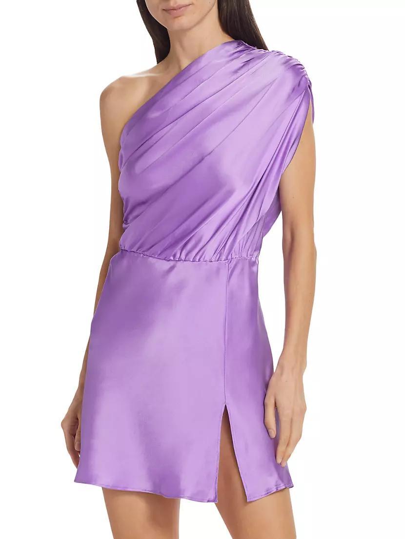 Dupree Silk Minidress Product Image