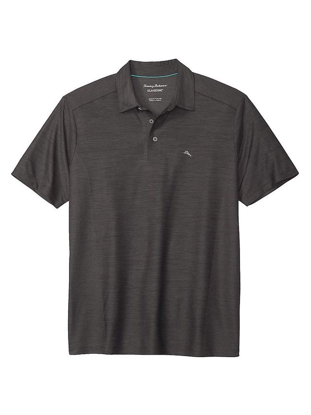 Tommy Bahama Palm Coast Classic Fit Polo Product Image