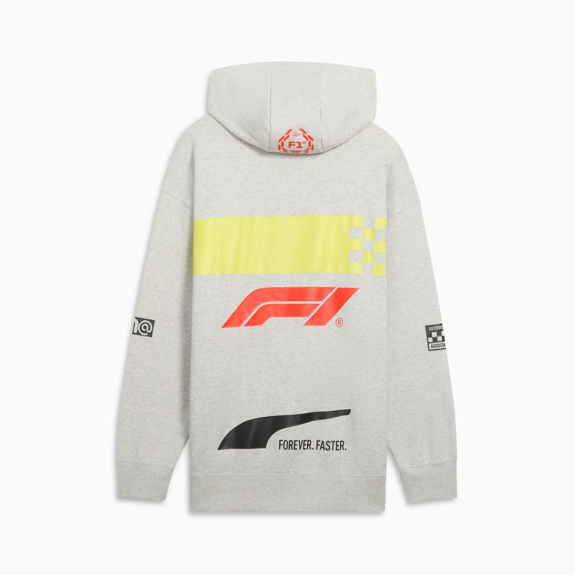 F1® Racing Motorsport Men's Hoodie Product Image