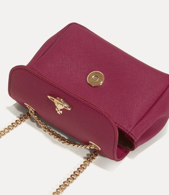 Small Purse With Chain Product Image