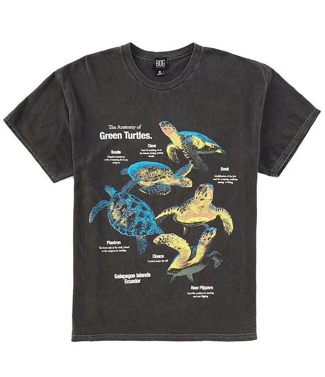 BDG Urban Outfitters Anatomy Turtles Short Sleeve Graphic T-Shirt Product Image