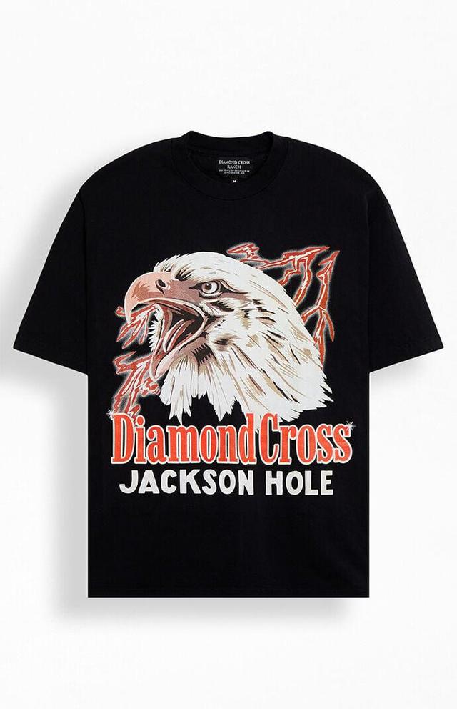 Diamond Cross Ranch Men's Not My First Rodeo T-Shirt Product Image